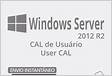 10 Cal de usuário RDP para Windows Server 2012 R2
